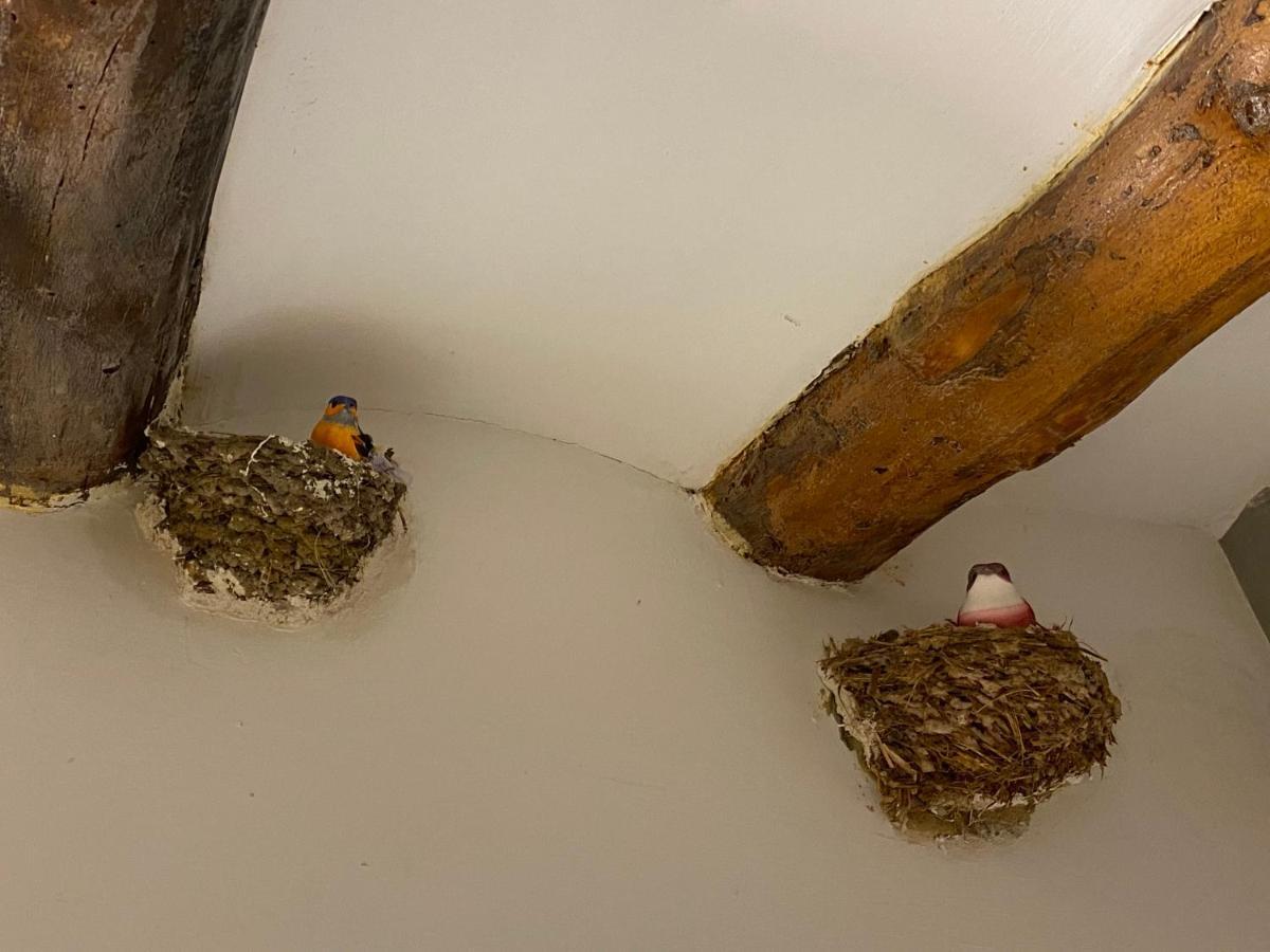 Appartamento Casa Molinero Abiego Esterno foto